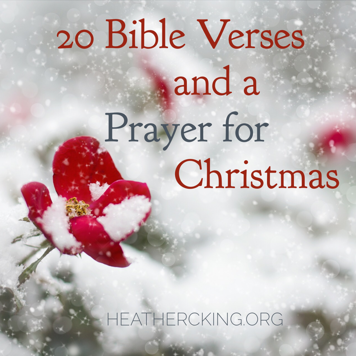 20 Meaningful Bible Verses About Prayer